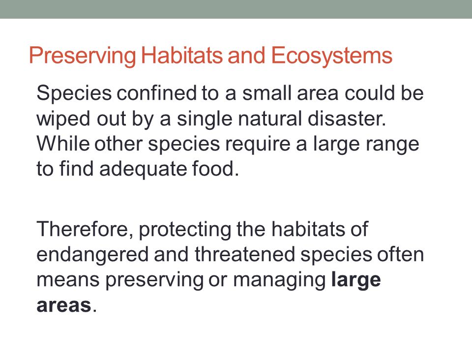 Preserving Habitats and Ecosystems