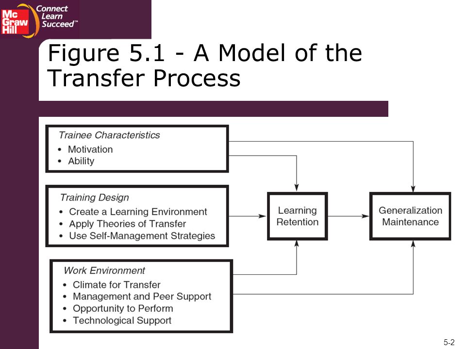 Figure A Model of the Transfer Process