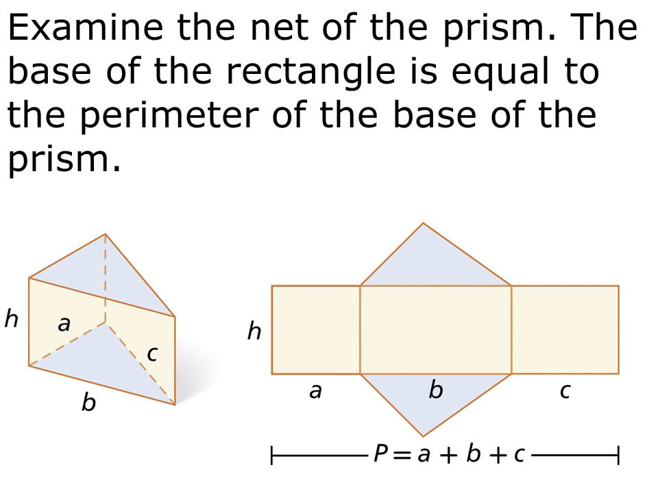 Examine the net of the prism