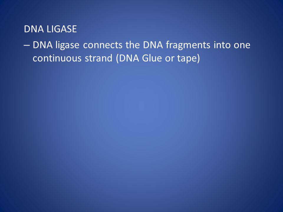 DNA LIGASE DNA ligase connects the DNA fragments into one continuous strand (DNA Glue or tape) Student Misconceptions and Concerns.