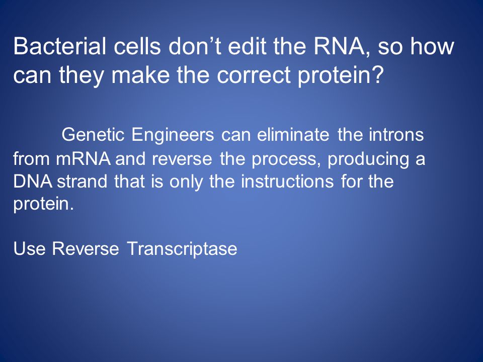 Bacterial cells don’t edit the RNA, so how can they make the correct protein