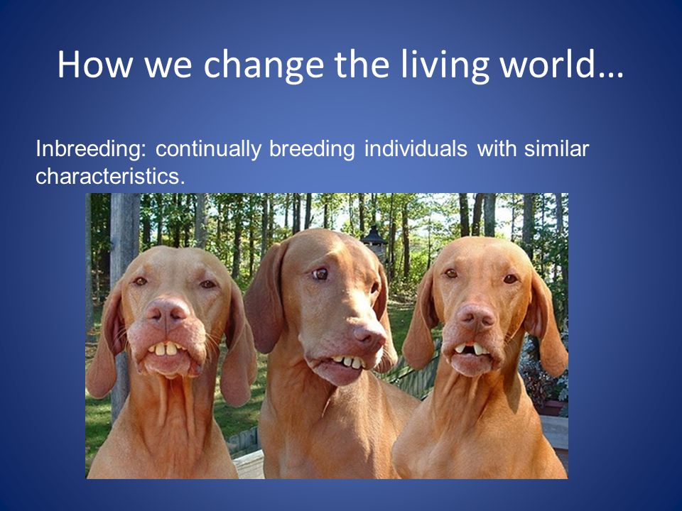 How we change the living world…