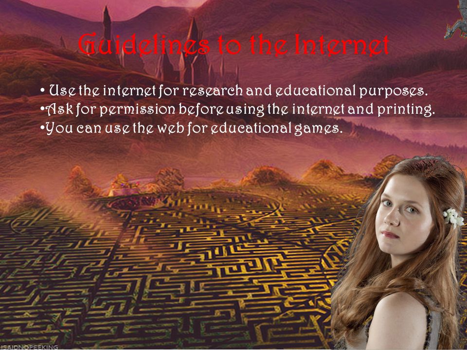 Guidelines to the Internet