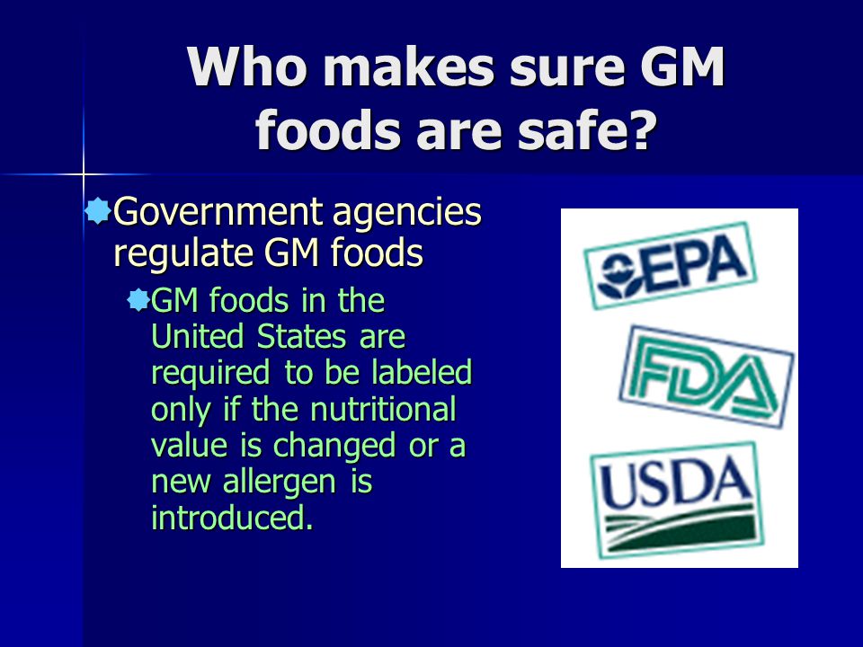 Who makes sure GM foods are safe