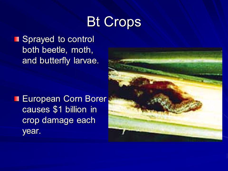 Bt Crops Sprayed to control both beetle, moth, and butterfly larvae.