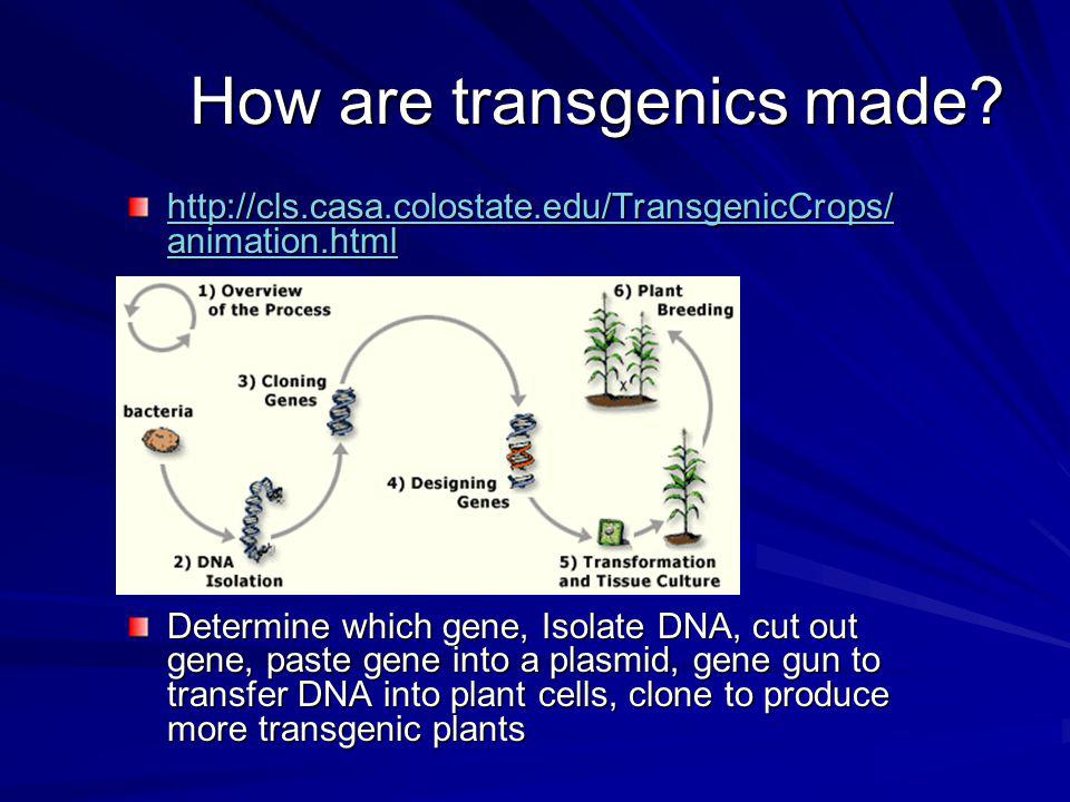 How are transgenics made