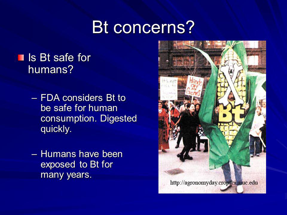 Bt concerns Is Bt safe for humans