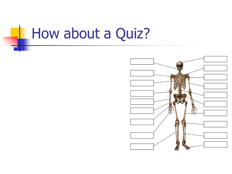 How about a Quiz