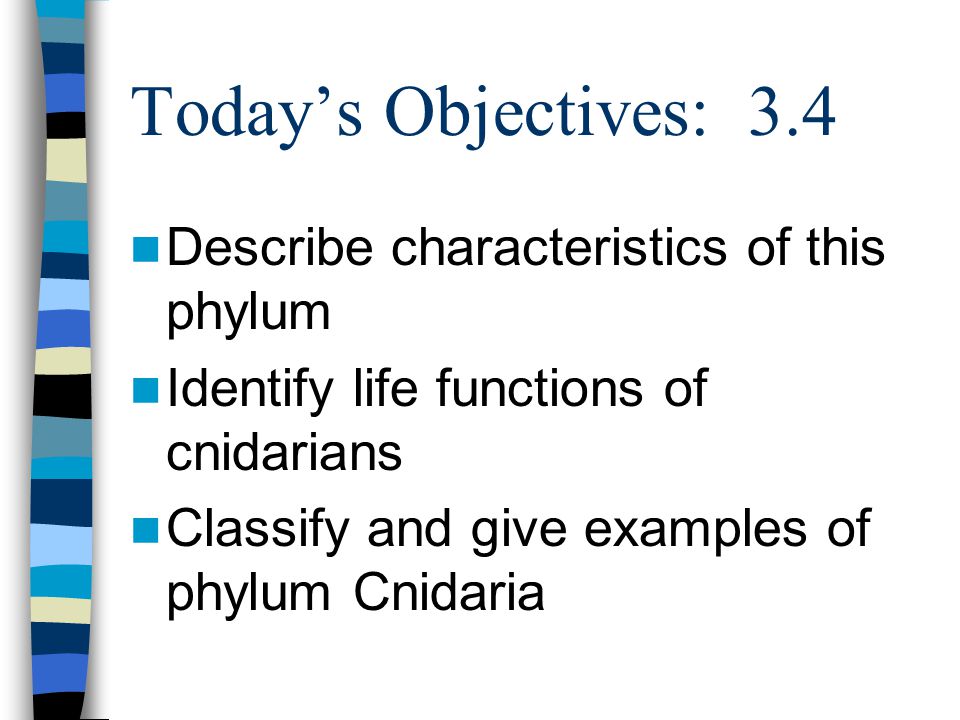 Today’s Objectives: 3.4 Describe characteristics of this phylum
