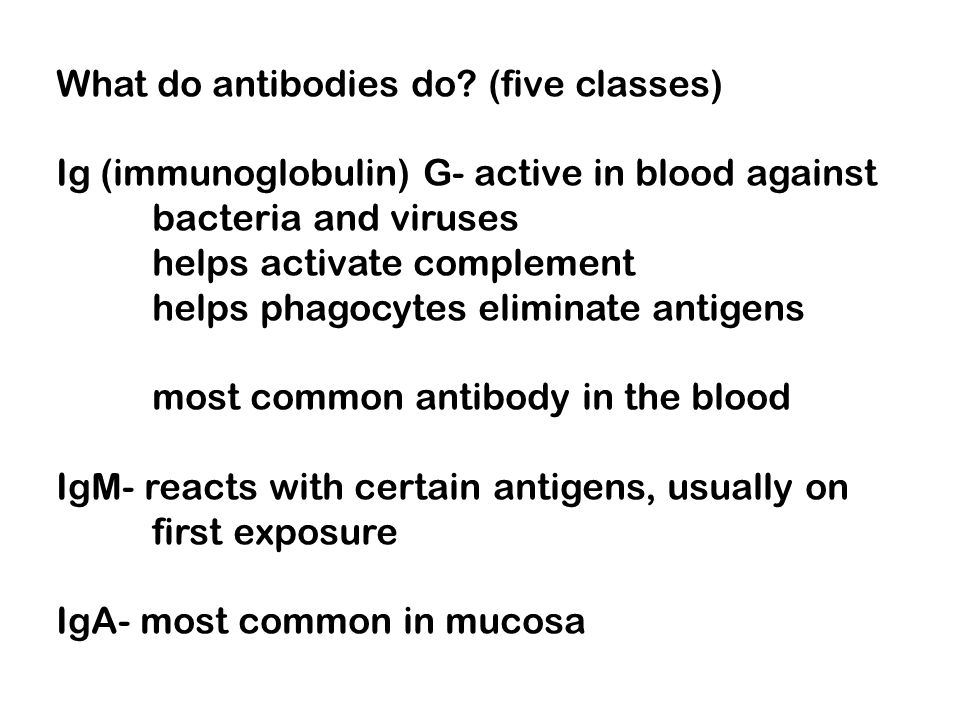What do antibodies do (five classes)
