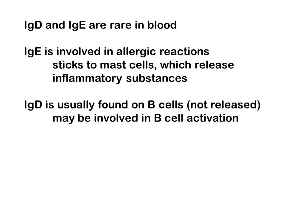 IgD and IgE are rare in blood