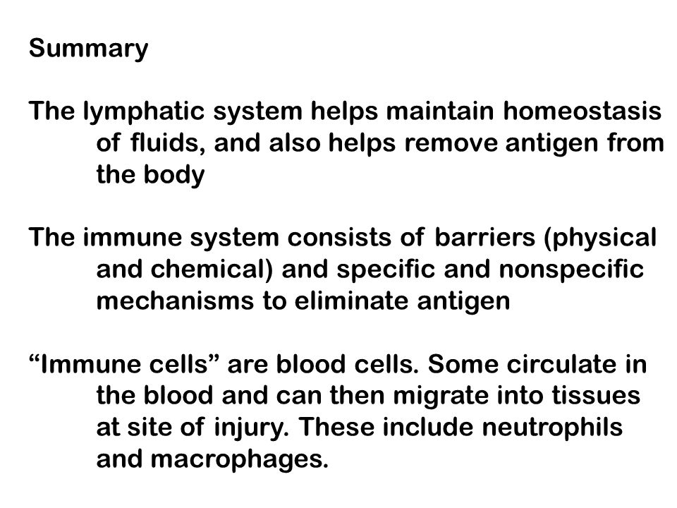 Summary The lymphatic system helps maintain homeostasis. of fluids, and also helps remove antigen from.