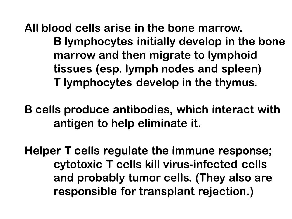 All blood cells arise in the bone marrow.