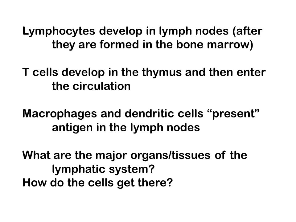 Lymphocytes develop in lymph nodes (after