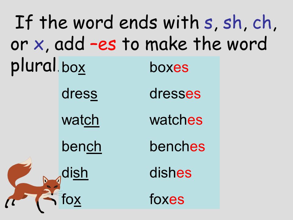 words that end in s singular plural nouns ppt video online download. 