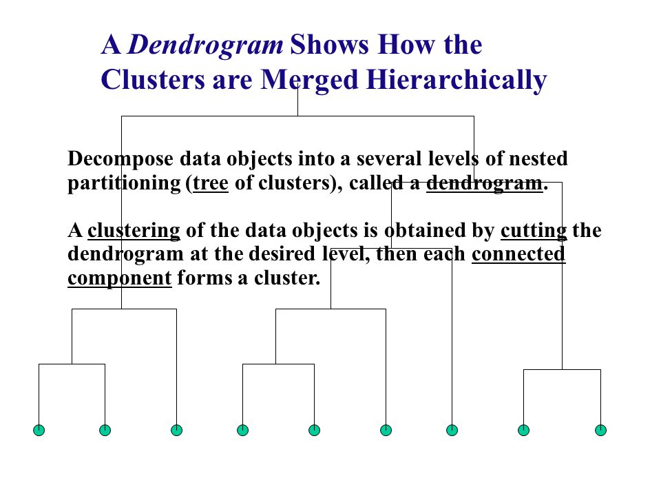 A Dendrogram Shows How the Clusters are Merged Hierarchically