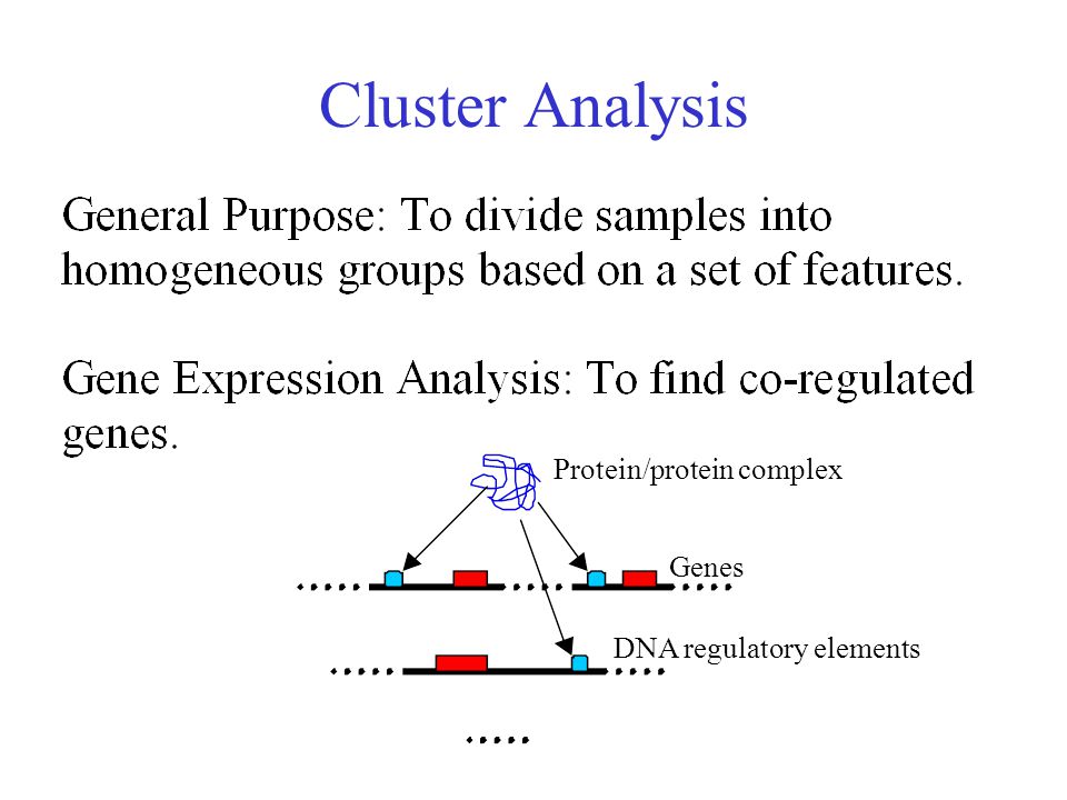 Cluster Analysis Protein/protein complex Genes DNA regulatory elements