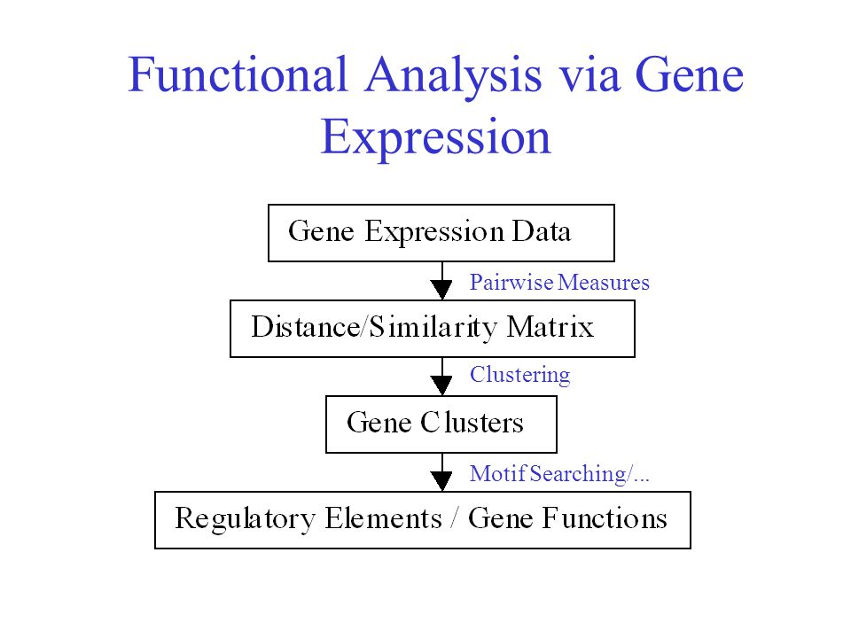 Functional Analysis via Gene Expression