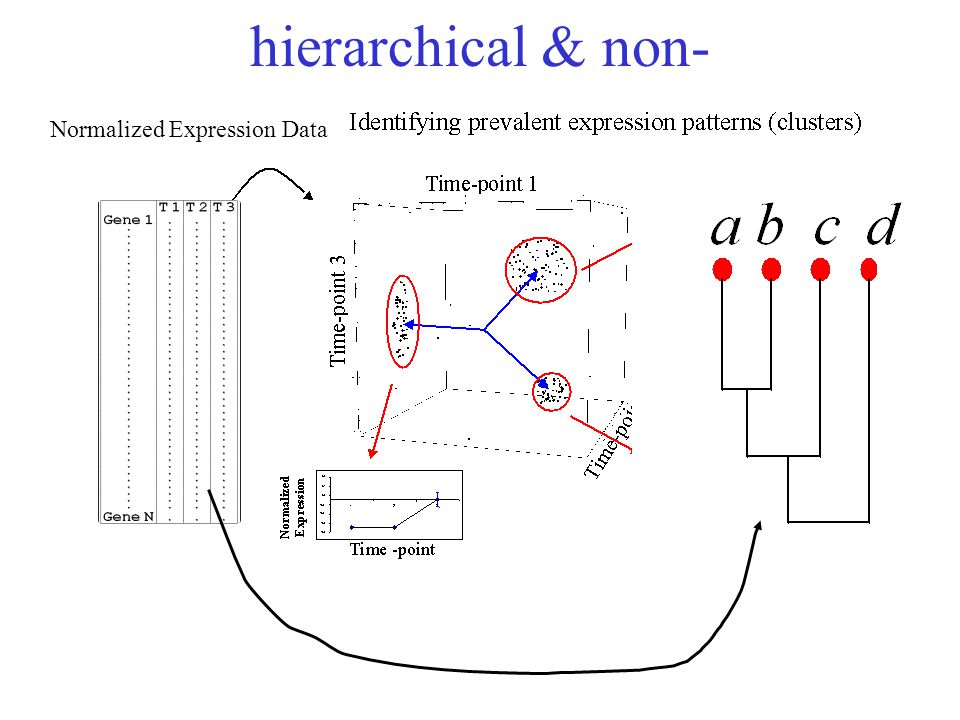 hierarchical & non- Normalized Expression Data