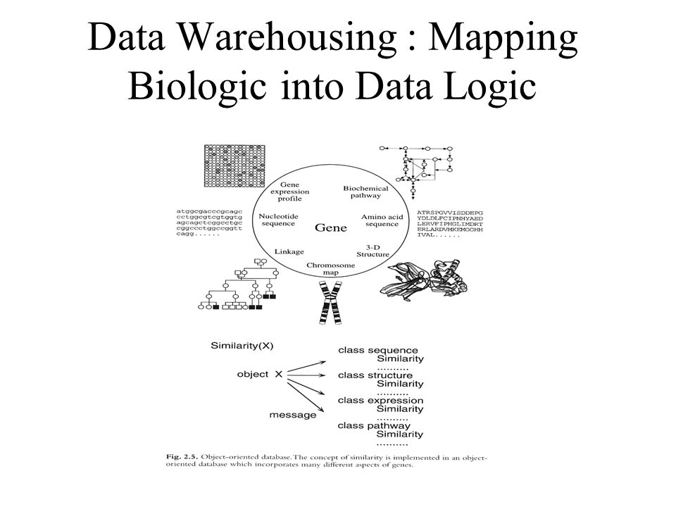 Data Warehousing : Mapping Biologic into Data Logic