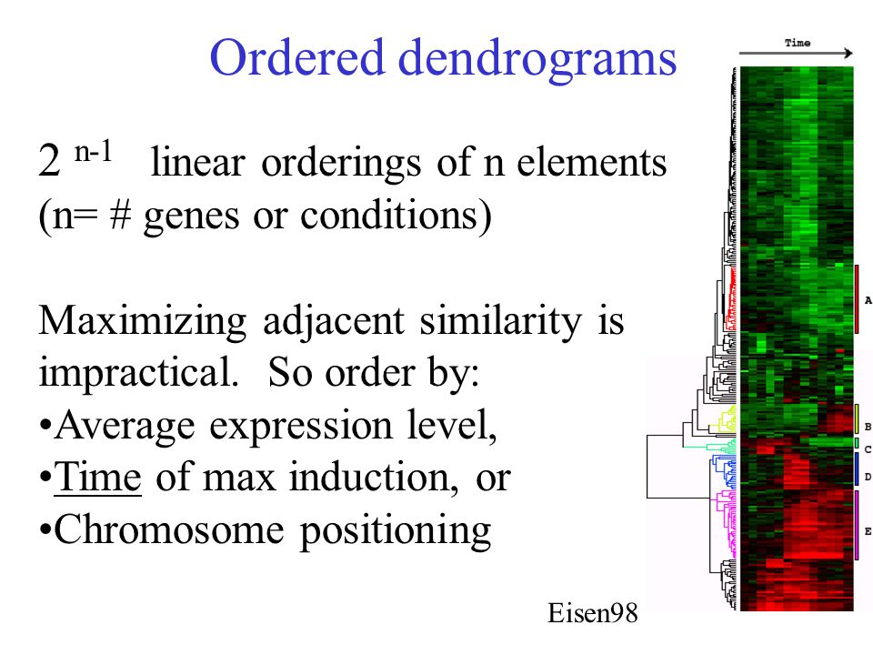 Ordered dendrograms 2 n-1 linear orderings of n elements