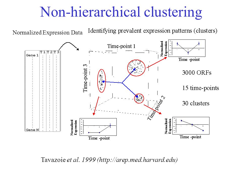 Non-hierarchical clustering