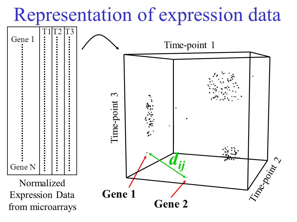 Representation of expression data