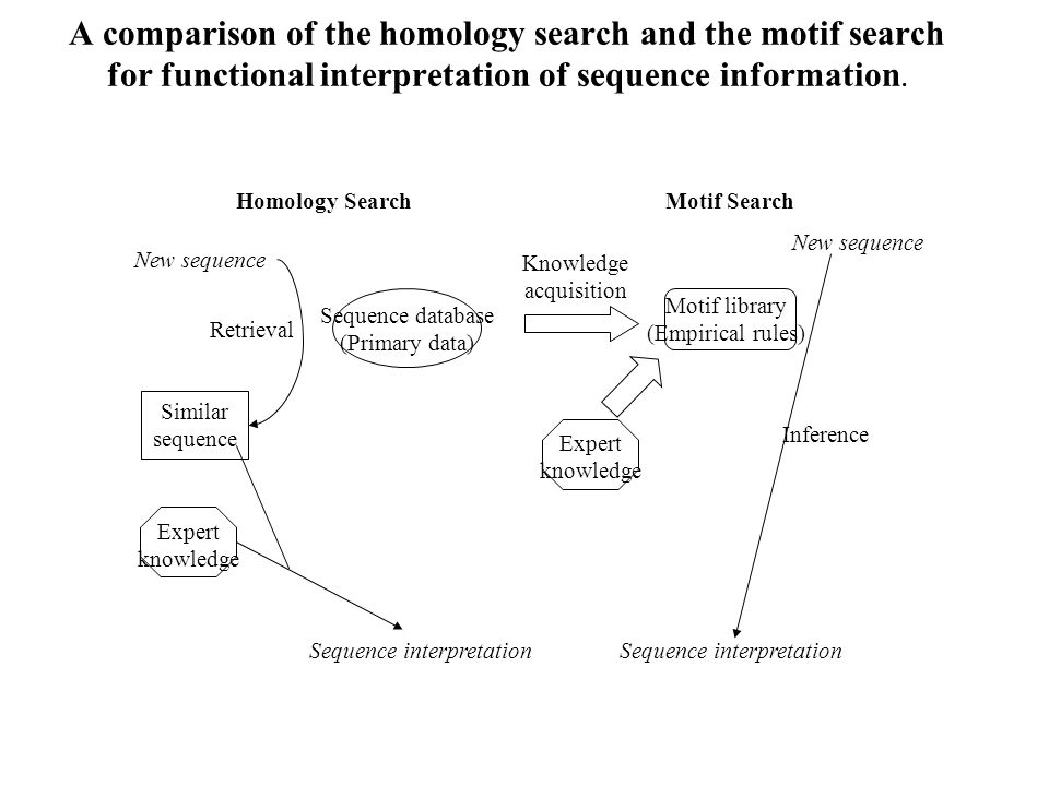 A comparison of the homology search and the motif search for functional interpretation of sequence information.