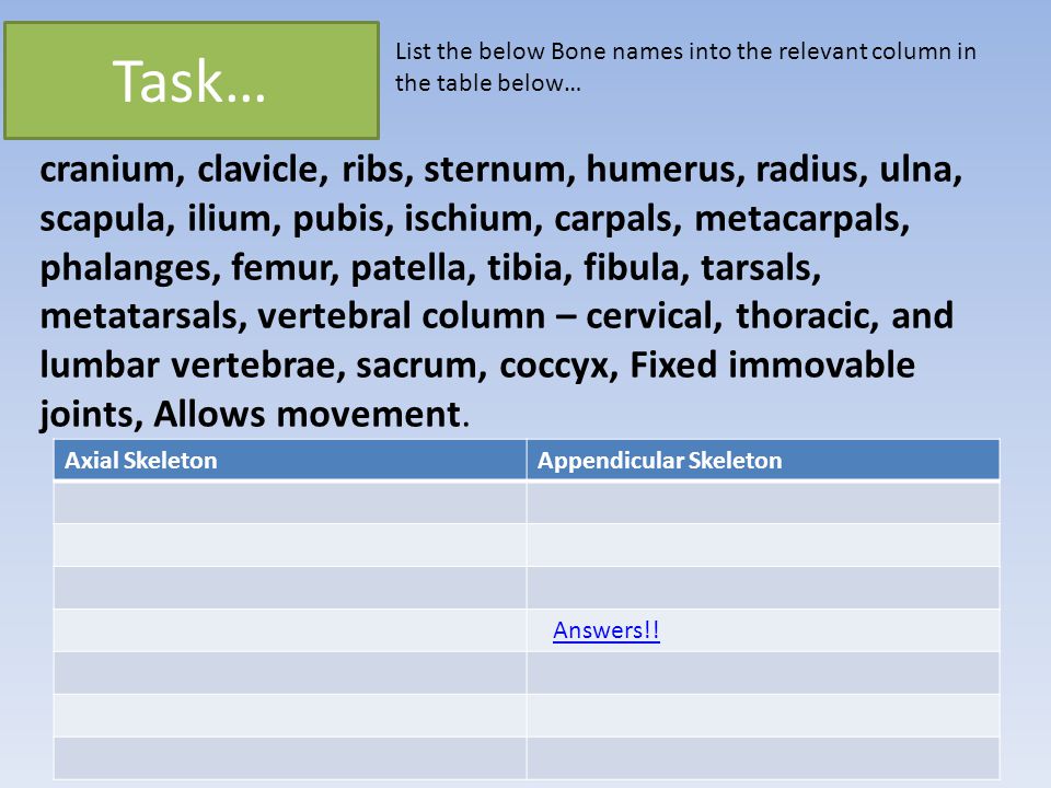 Task… List the below Bone names into the relevant column in the table below…