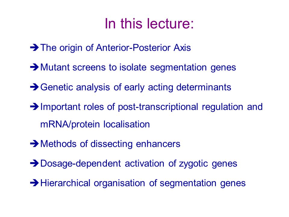 In this lecture: The origin of Anterior-Posterior Axis