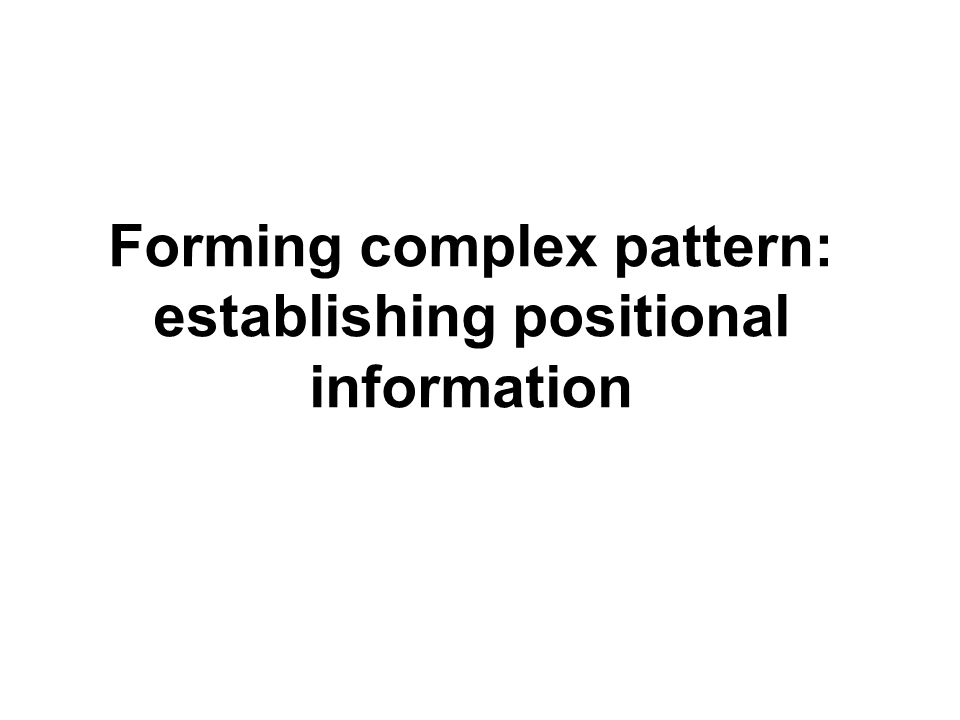 Forming complex pattern: establishing positional information