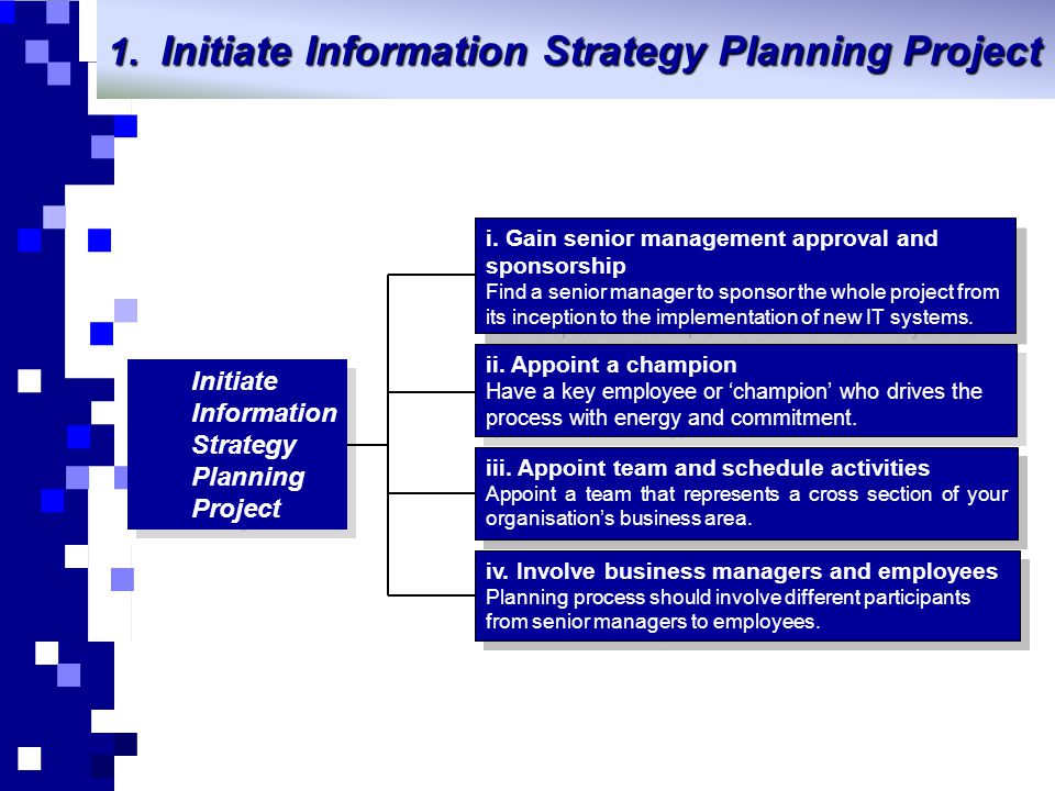 Initiate Information Strategy Planning Project