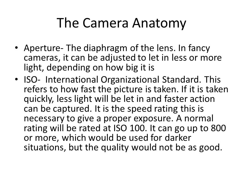 The Camera Anatomy Aperture- The diaphragm of the lens. In fancy cameras, it can be adjusted to let in less or more light, depending on how big it is.