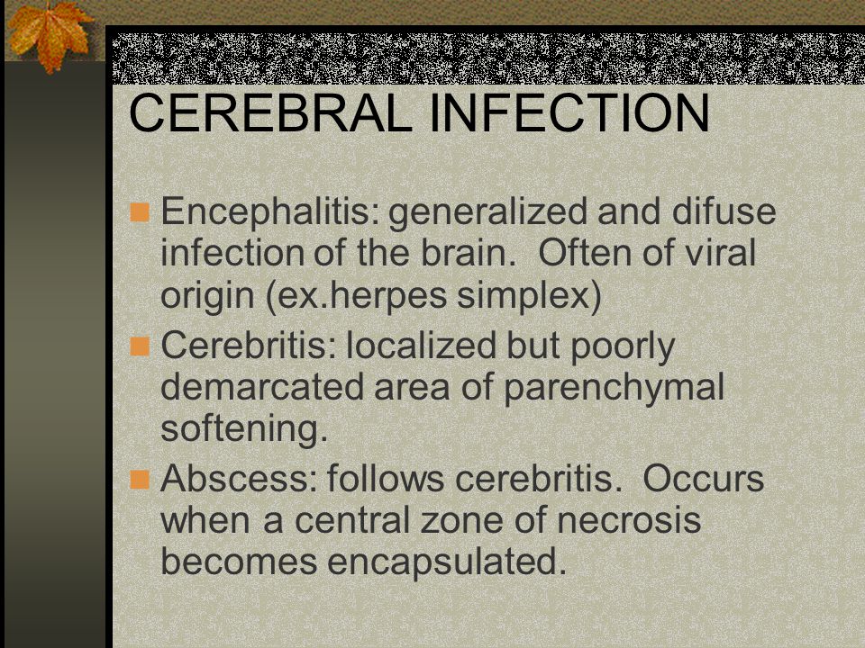 Everything A Medical Student Should Know About A Ct Scan Of The Head Ppt Video Online Download Encephalitis, an inflammation of the brain parenchyma, presents as diffuse and/or focal neuropsychological dysfunction. ct scan of the head
