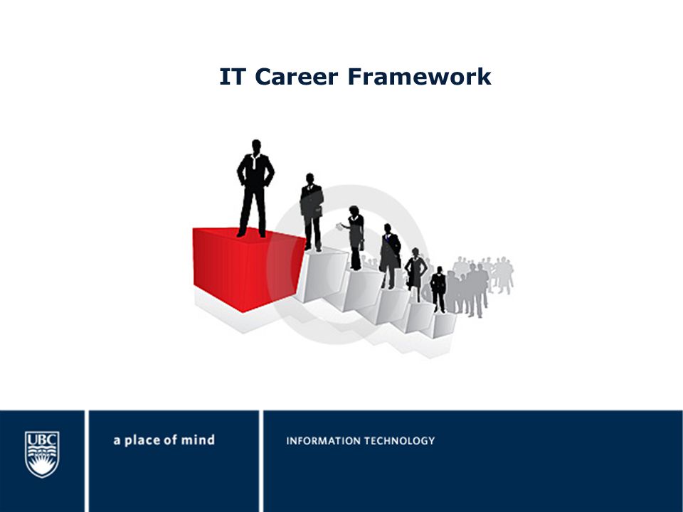 IT Career Framework