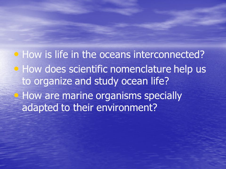 How is life in the oceans interconnected