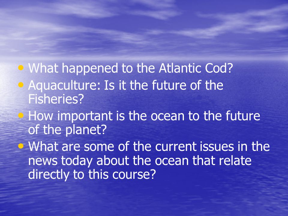 What happened to the Atlantic Cod
