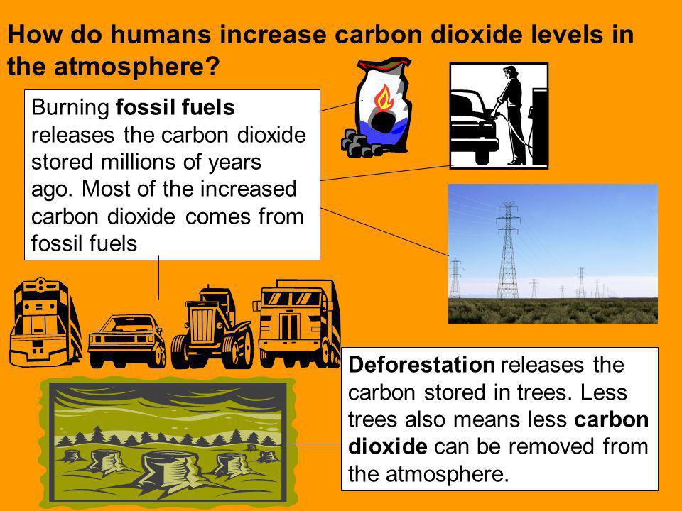 How do humans increase carbon dioxide levels in the atmosphere