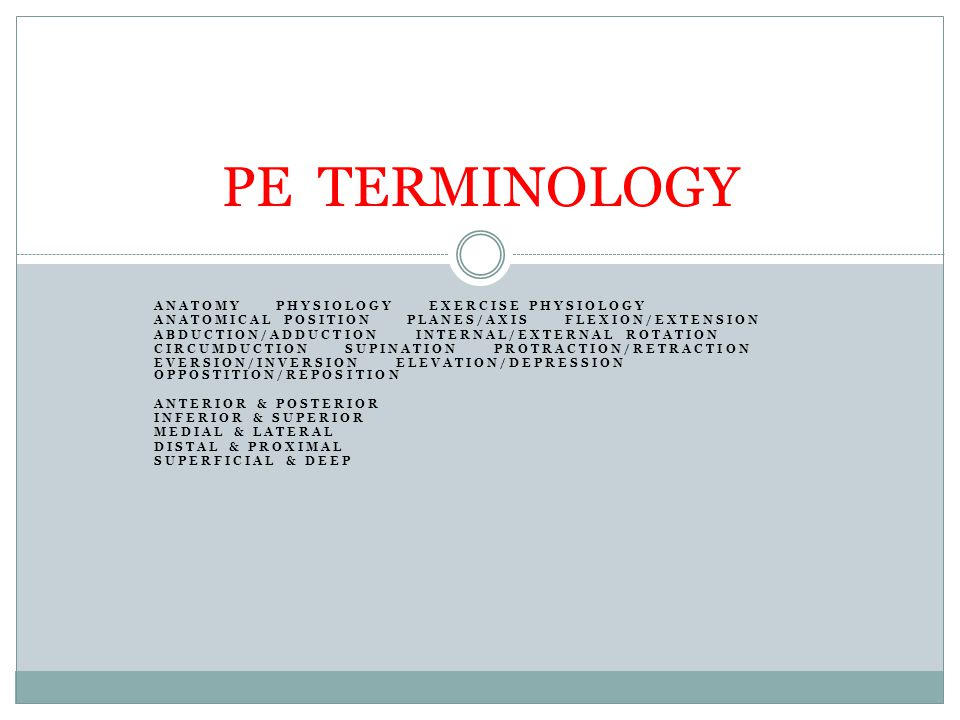 PE TERMINOLOGY ANATOMY PHYSIOLOGY EXERCISE PHYSIOLOGY