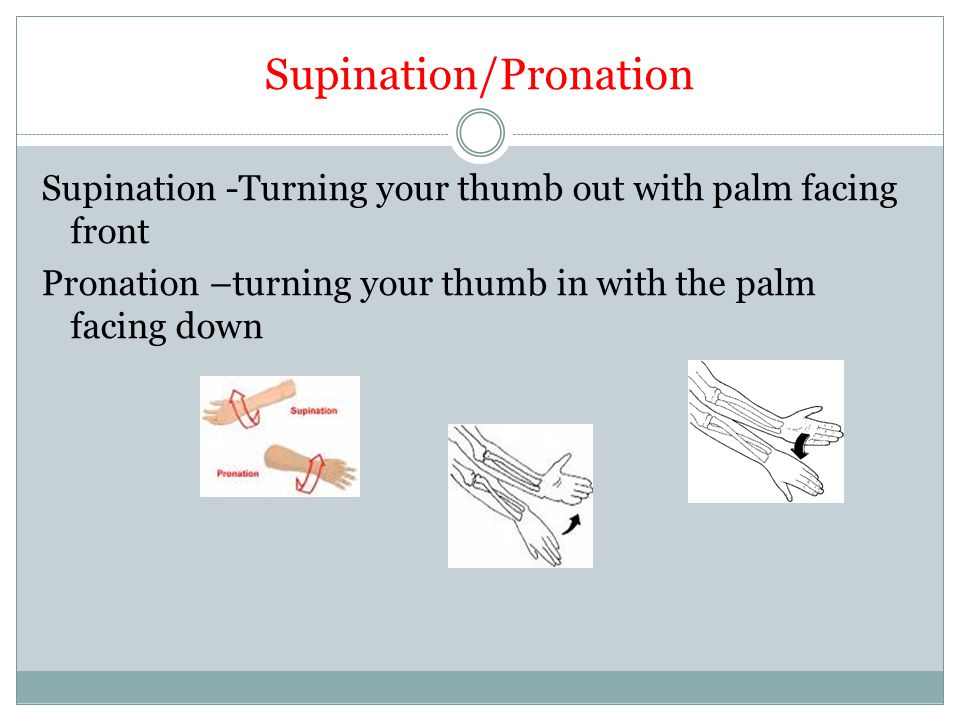 Supination/Pronation