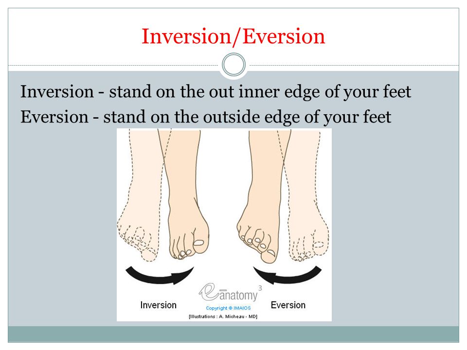 Inversion/Eversion Inversion - stand on the out inner edge of your feet Eversion - stand on the outside edge of your feet