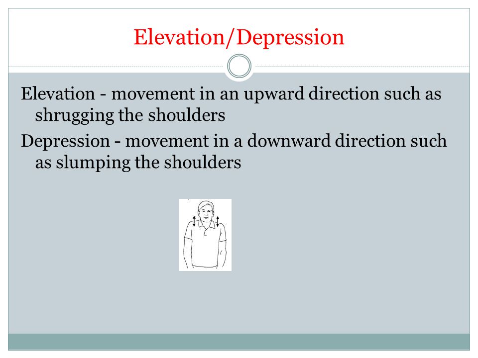 Elevation/Depression