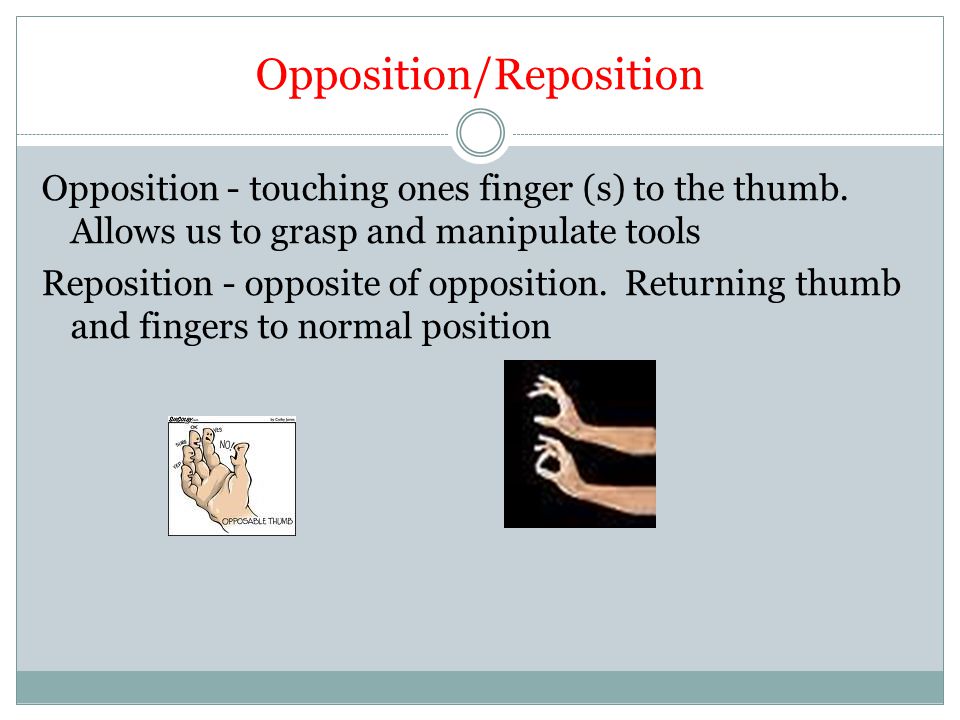 Opposition/Reposition