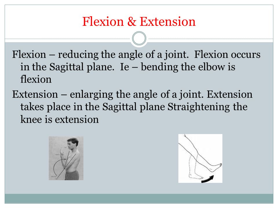 Flexion & Extension