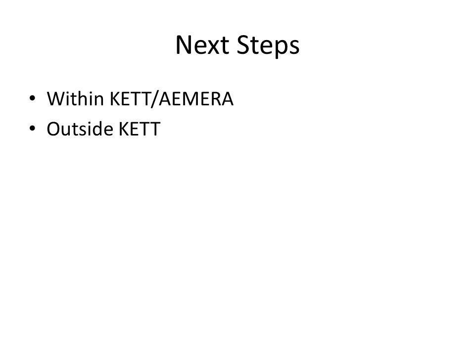 Next Steps Within KETT/AEMERA Outside KETT