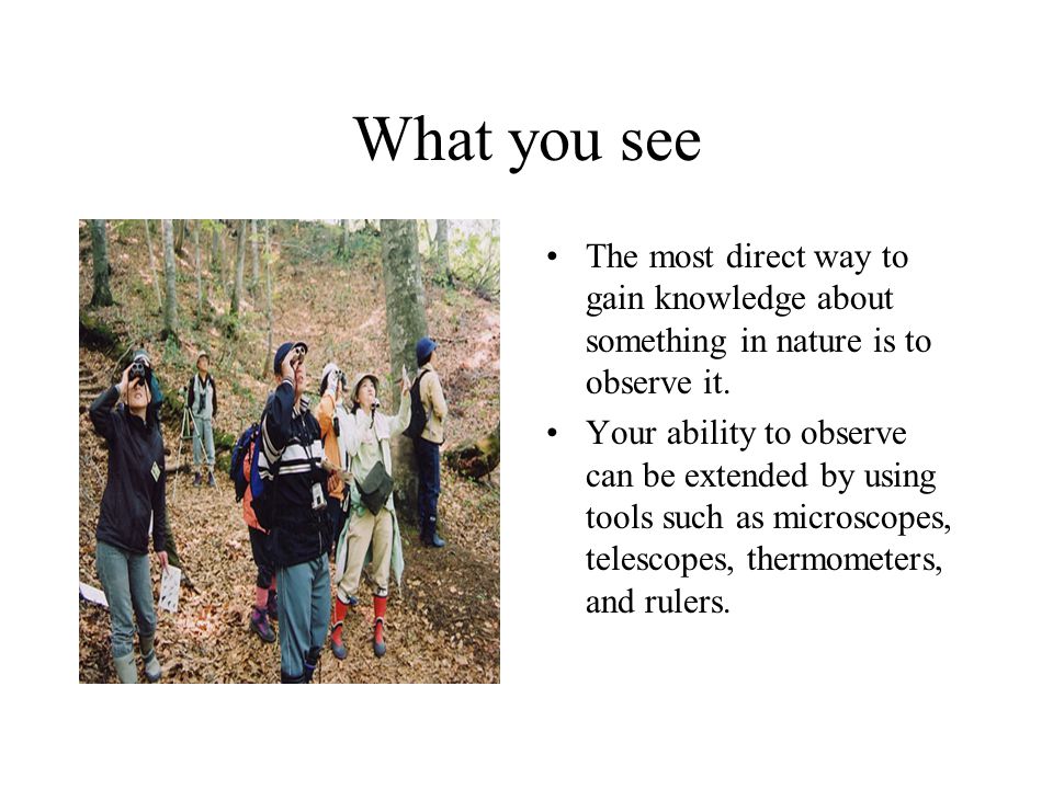 What you see The most direct way to gain knowledge about something in nature is to observe it.