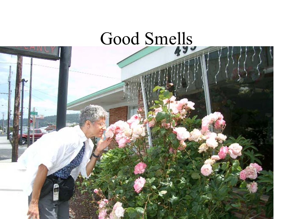 Good Smells