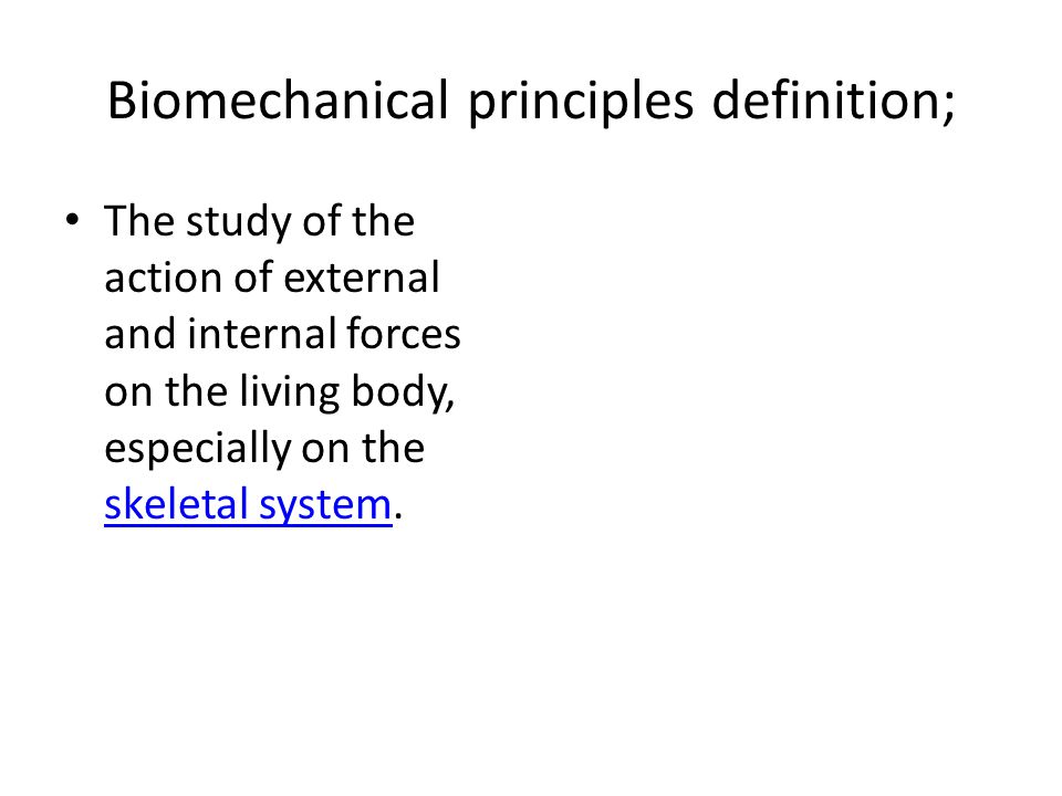 Biomechanical principles definition;