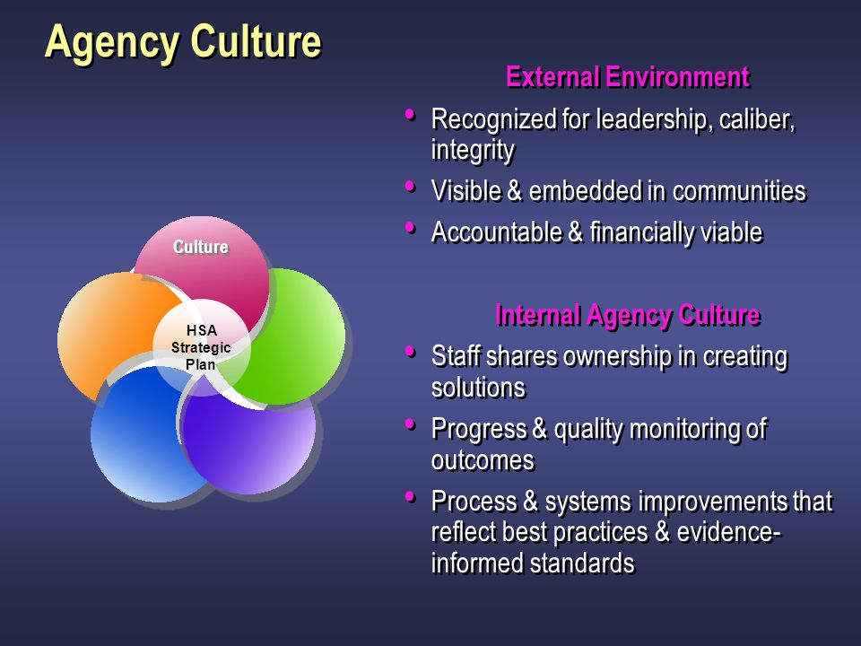 Internal Agency Culture