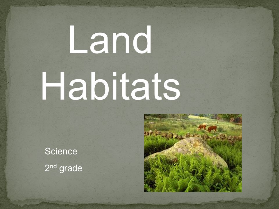 Land Habitats Science 2nd grade